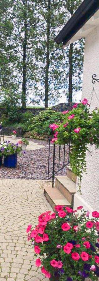 Blackberry Loft - A Hidden Gem Templepatrick Esterno foto